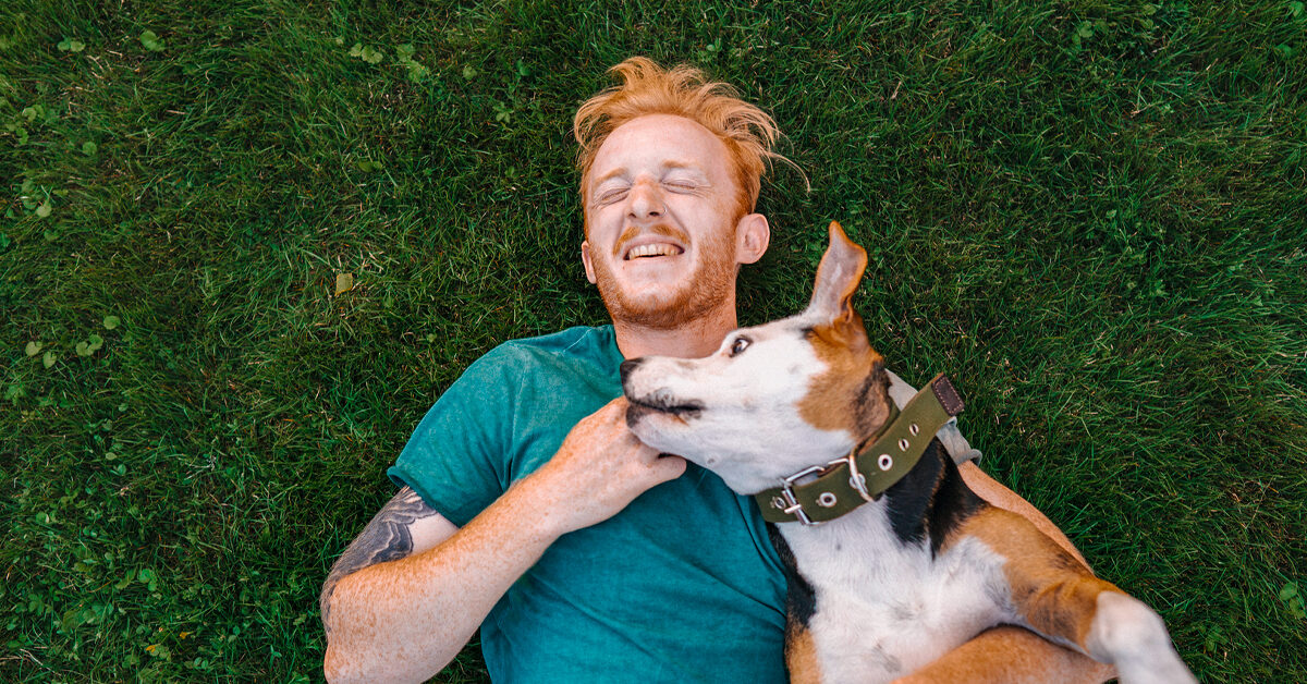 Kratzer vom Hund: Gesundheitsrisiken, Behandlung und Vorbeugung