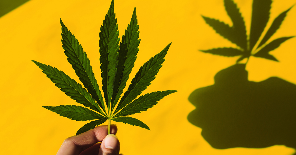 Medizinisches Marihuana gegen Angst und Depression: Kann es helfen?