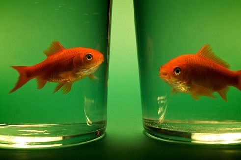 Getrennt, zusammen leben: Warum manche Paare auf das Zusammenleben verzichten