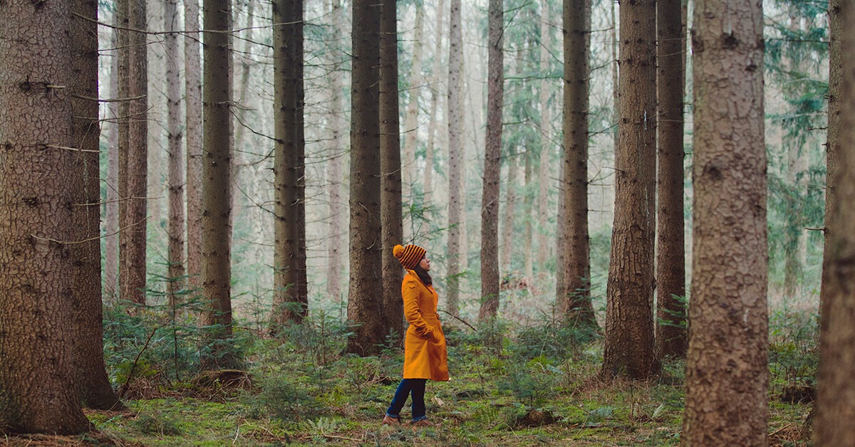 13 gesunde Möglichkeiten für „Veg Out“ und Selbstfürsorge zur gleichen Zeit