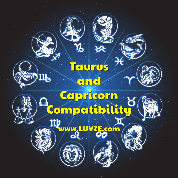 Stier- und Steinbock-Kompatibilität