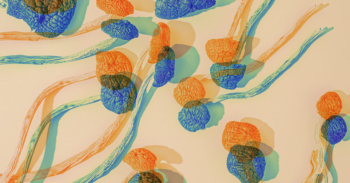 Psilocybin gegen Depressionen