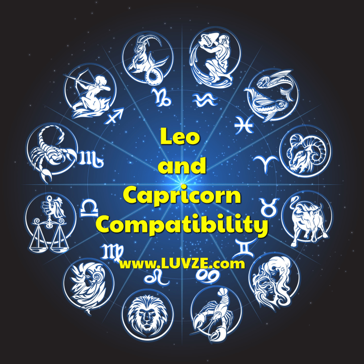 Kompatibilität von Löwe und Steinbock